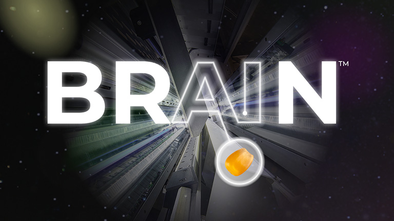 AI Revolutionizes Optical Sorting Efficiency