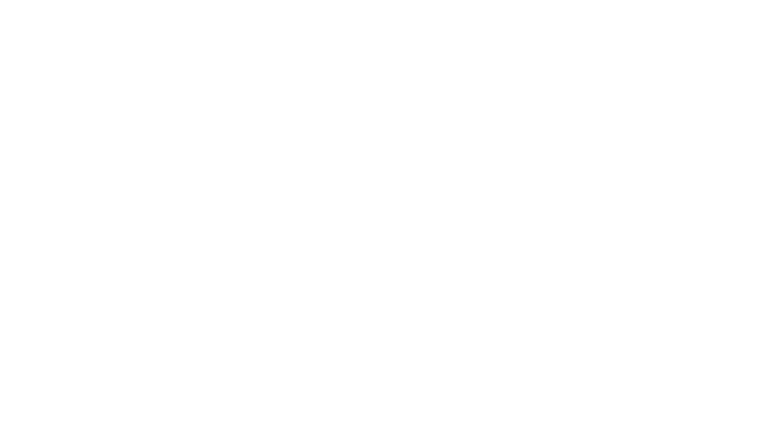 TOP-PRO