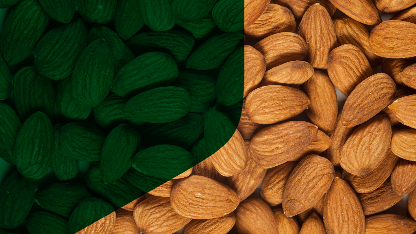 Complete Food Processing Solutions