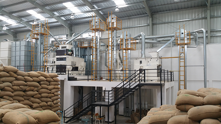 Green coffee processing plant