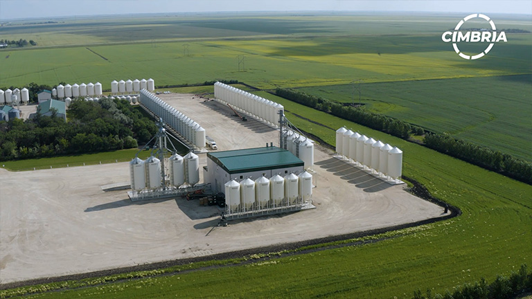 Pitura Seeds: A Century of Trusted Quality and Innovation