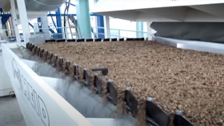 Green Coffee Processing Line Video