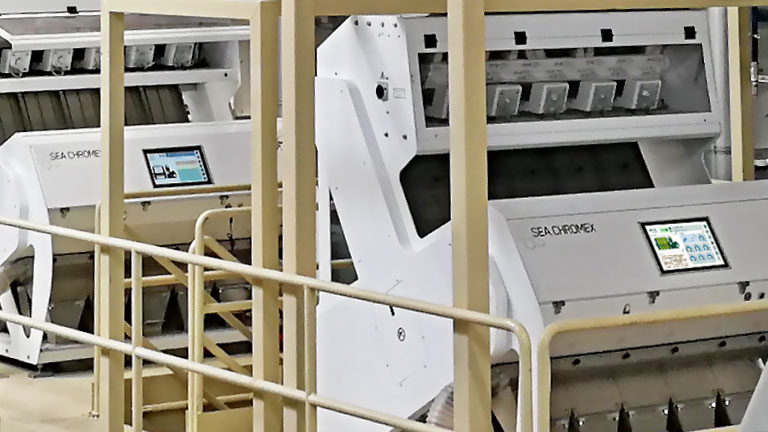 Optical Sorting