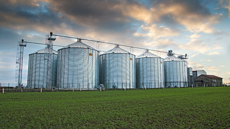 Grain storage facility