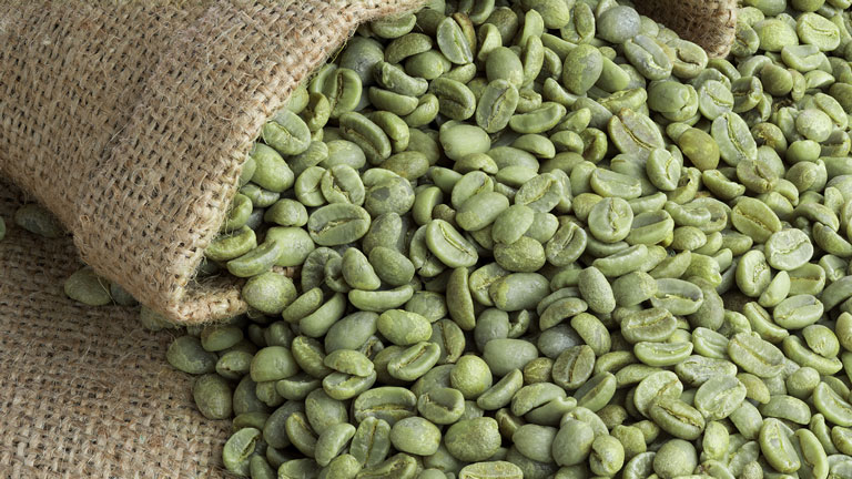 Green coffee beans in burlap sack ready for processing