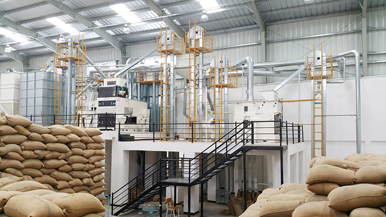 Green coffee processing pre-cleaning process