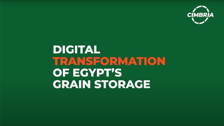 digital-transformation-of-egypts-grain-storage.jpg