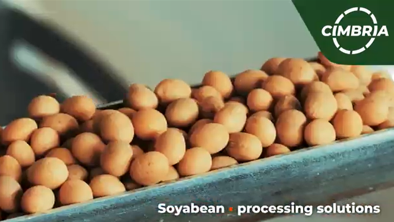 chickpea-video.png