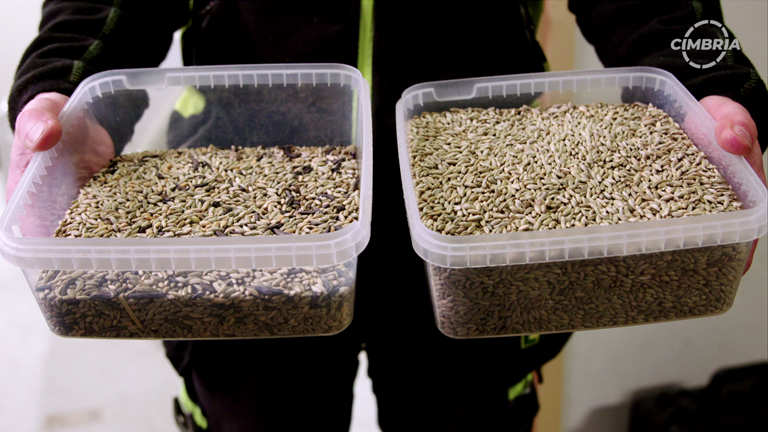 varaslattens-lagerhus-rye-sorting.jpg