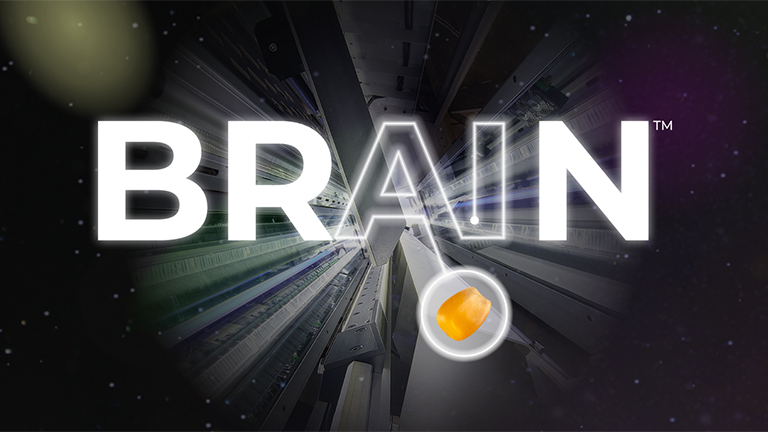 BRAIN-image