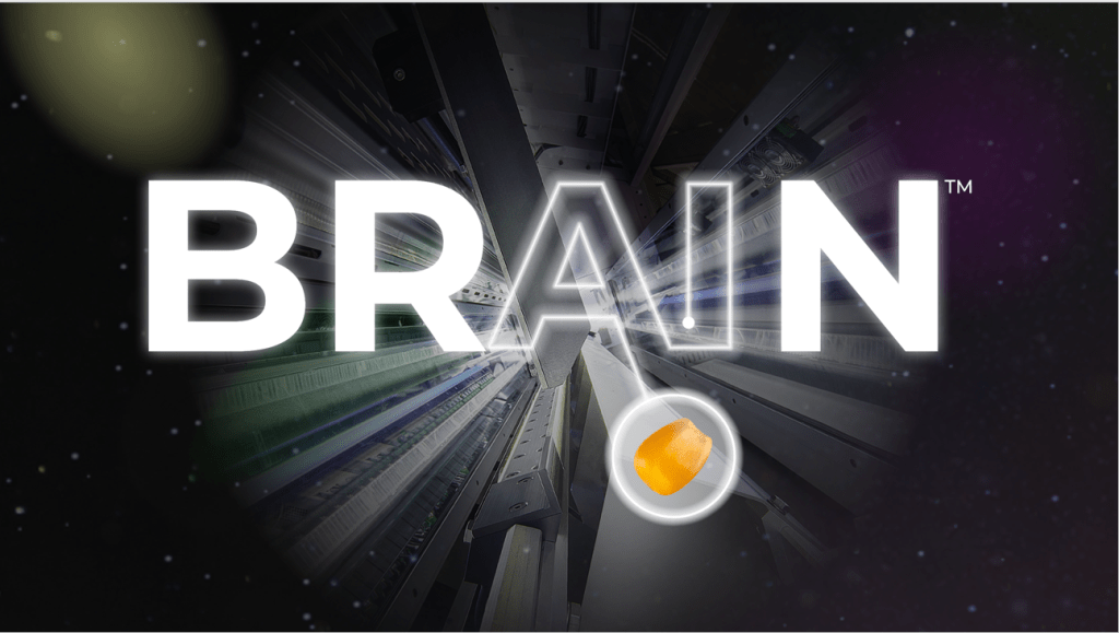 BRAIN is AI for Optical sorting