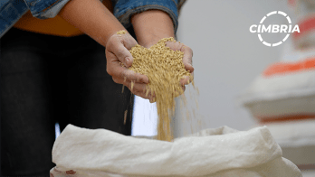 Mediterranea Sementi and Cimbria: Pioneering Seed Processing Technology