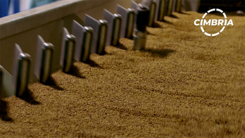 The Difference Between Gravity Separators & Optical Sorters 