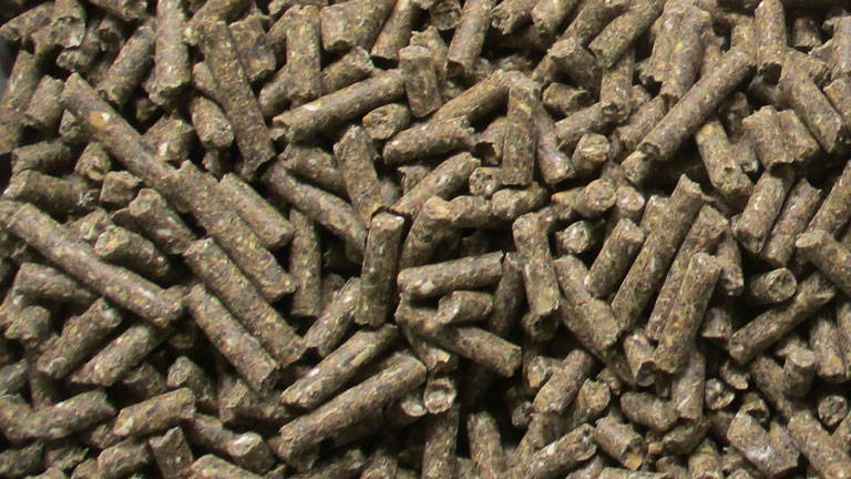 Macinazione di mangimi in Cimbria