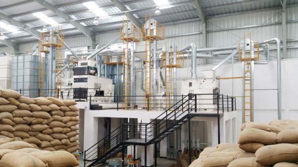 Green Coffee Processing Green Coffee Processing