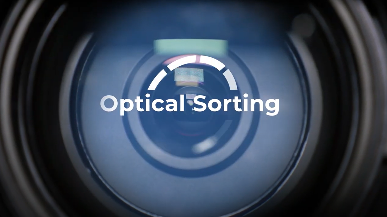 What is Optical Sorting & How Does It Work? - Cimbria