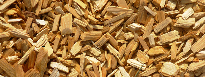 TRUCIOLI DI LEGNO
