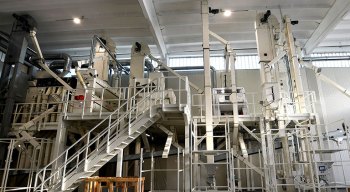 Montanaro 1938 plant, Italy