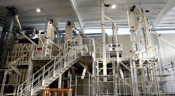 Montanaro 1938 plant, Italy