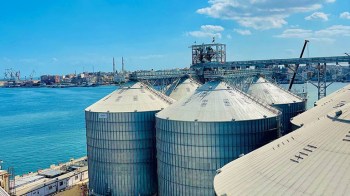 Port Said Grain Terminal