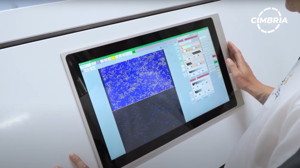 brain-screen