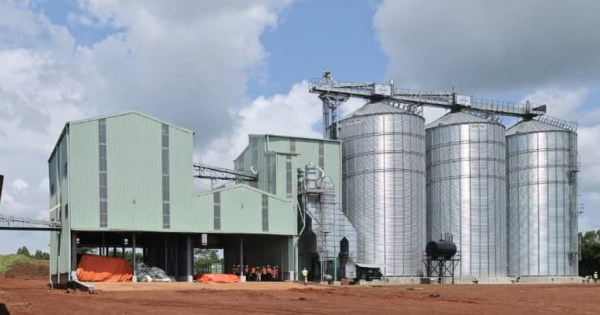 A new state-of-the-art grain facility in Kigumba shows how technology, partnership, and foresight can turn climate pressure into agricultural progress.