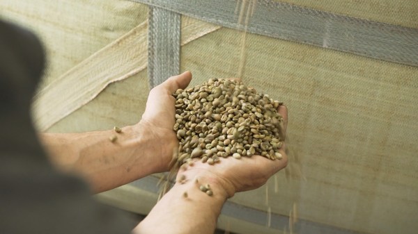 Sicurezza alimentare e Green Economy: la tecnologia al servizio della filiera