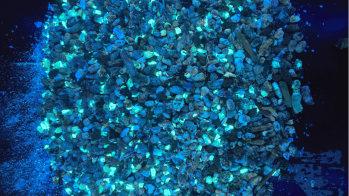 UV Technology in Optical Sorting is the Ultimate Defense Against Fungal Aspergillus. Here’s why.