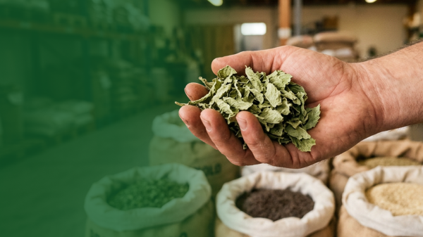 Lavorazione di erbe aromatiche e spezie