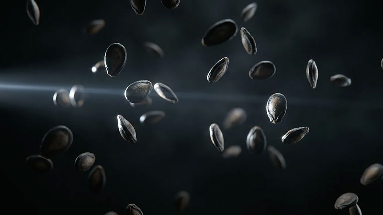 Seeds in free fall at the point where the machine decides what to keep and what to reject